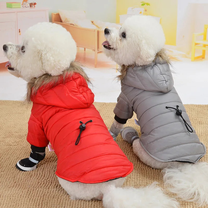 Fur shops coats for dogs