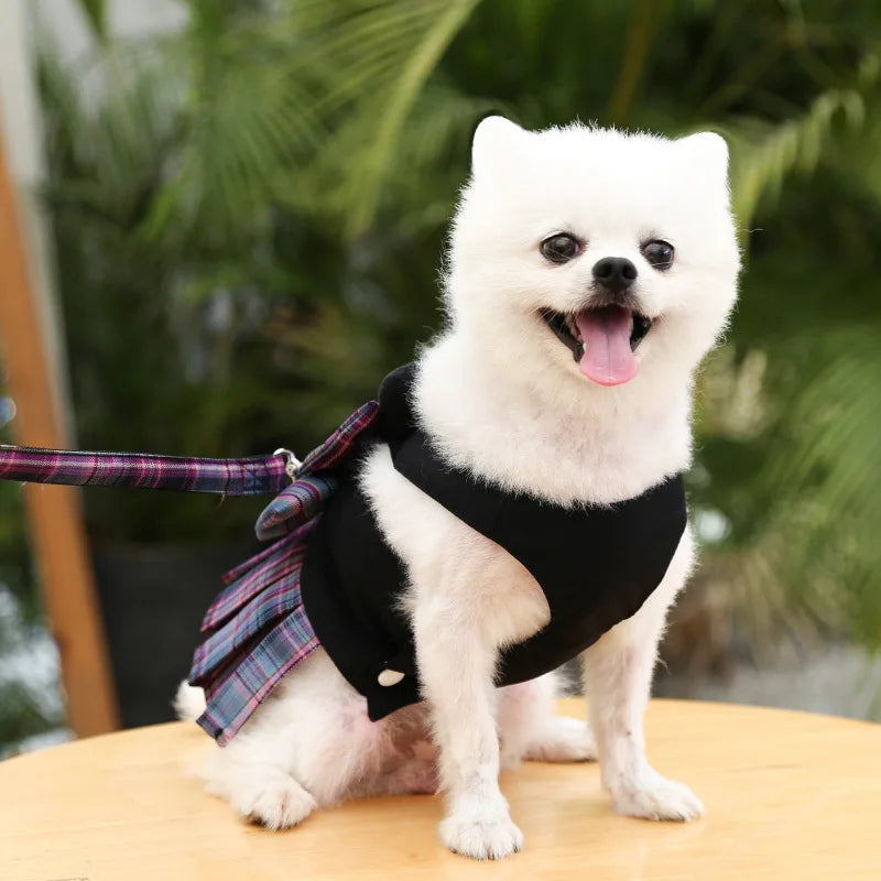 Lattice Dog Dress Clothes Lovely Dog Collars and Harnesses Leash Rope for Small Medium Puppy Chihuahua Clothes French Bulldog